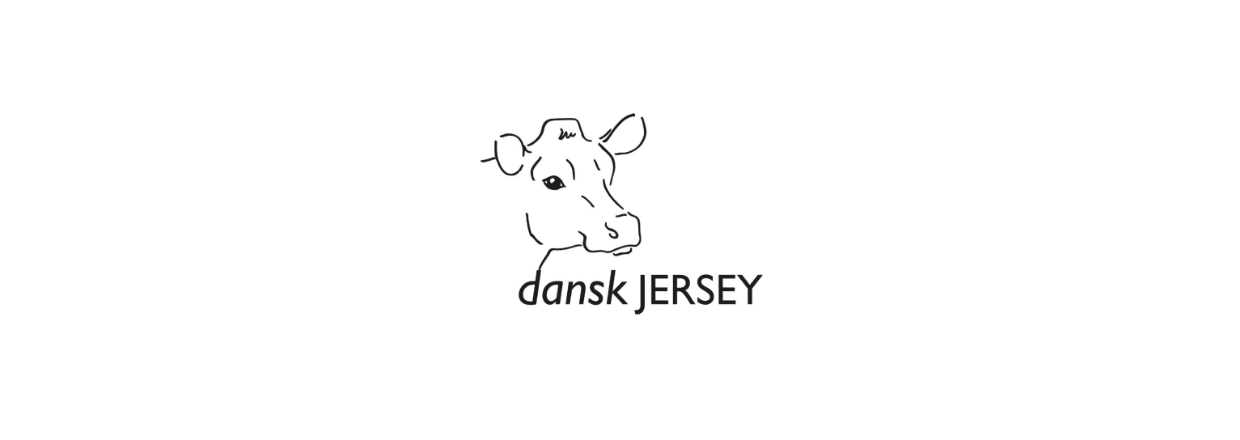 Jersey rsmde 
